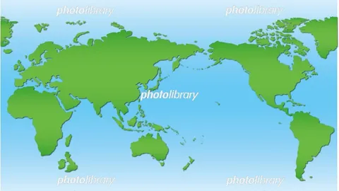 莱斯特城未将范尼视为首选目标